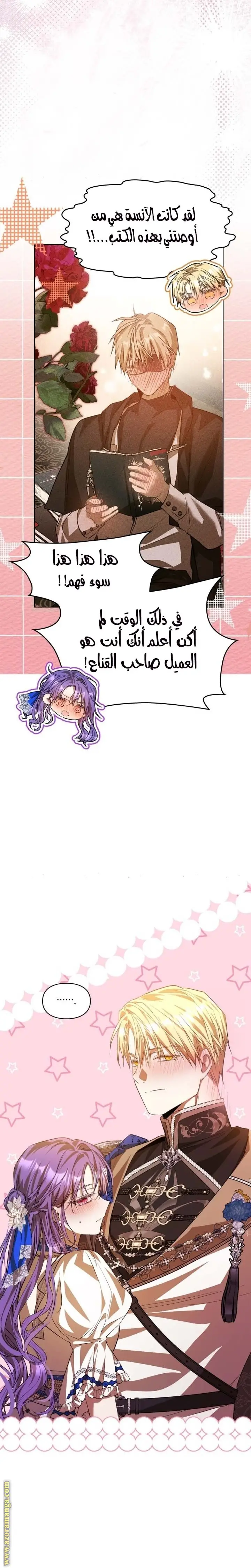 الصفحة 25