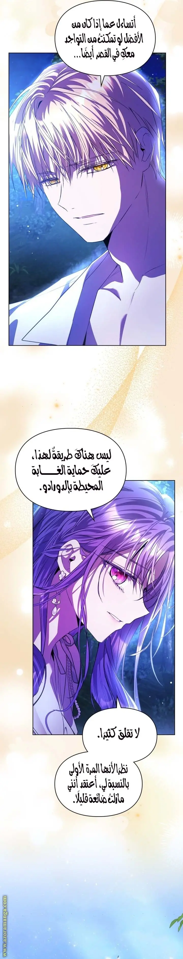 الصفحة 13
