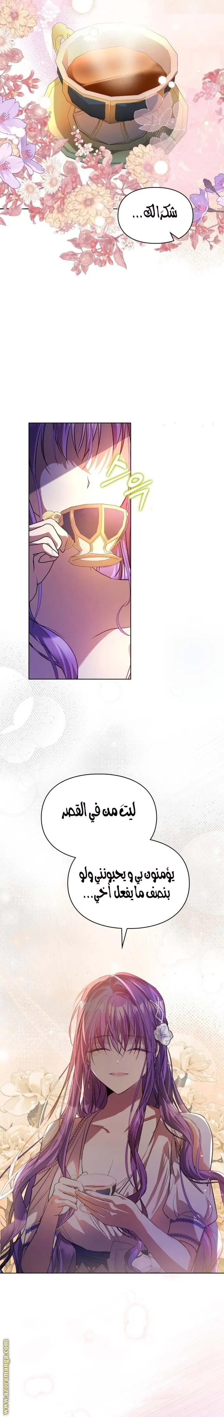 الصفحة 19