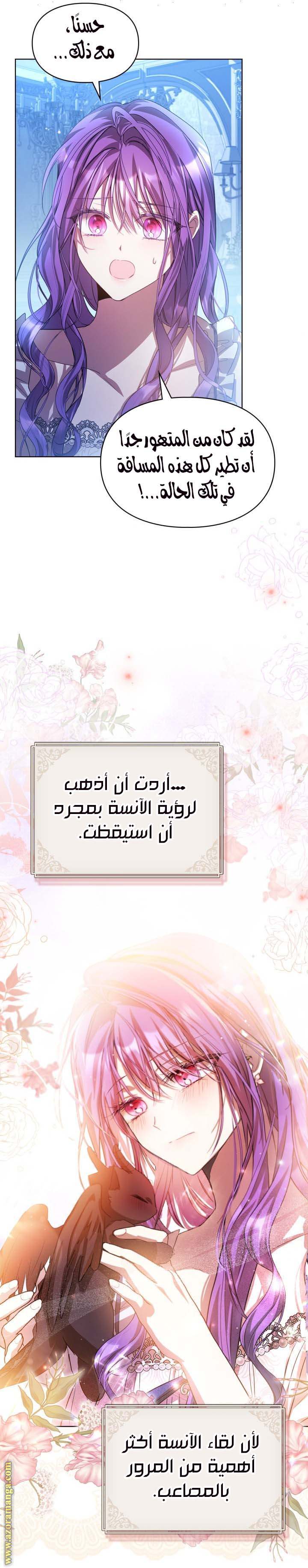 الصفحة 17