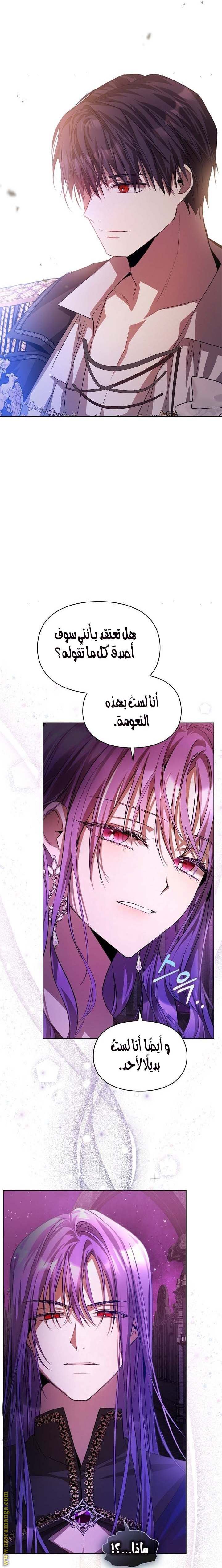 الصفحة 17