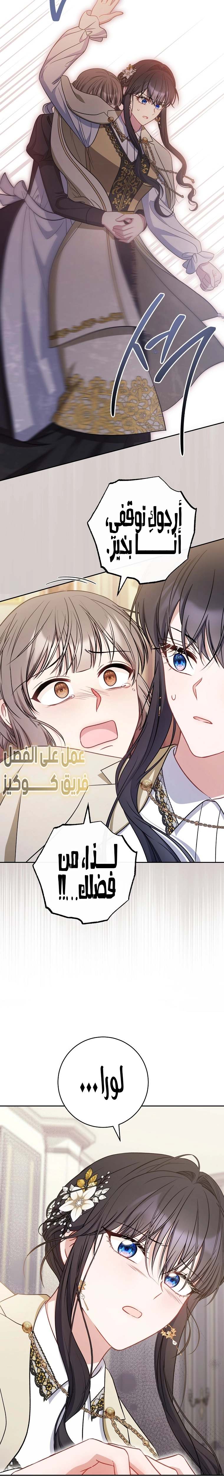 الصفحة 17