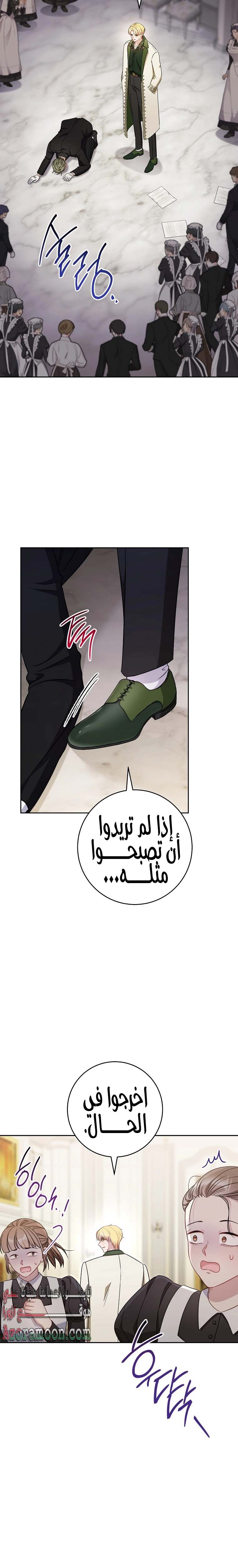 الصفحة 25