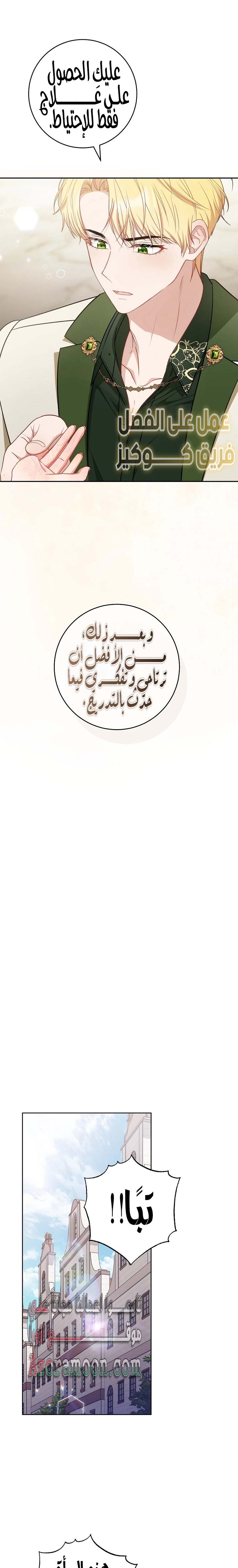 الصفحة 27
