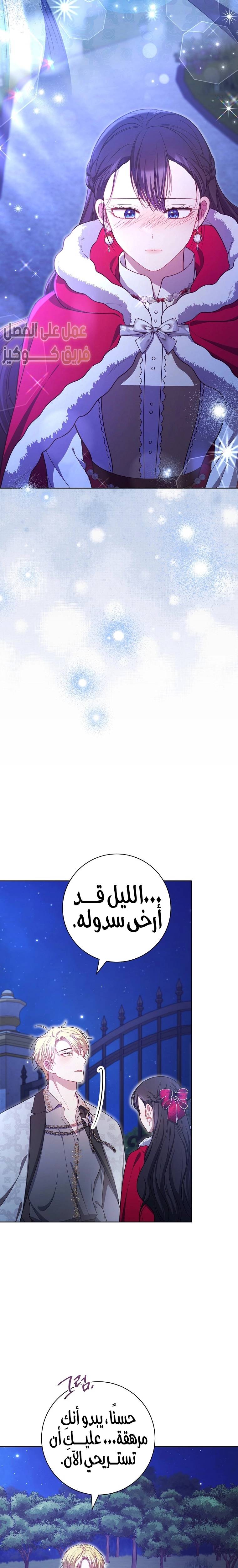 الصفحة 25