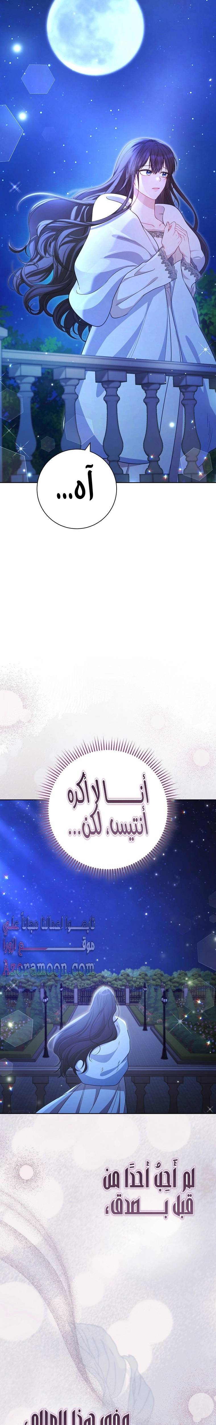 الصفحة 31