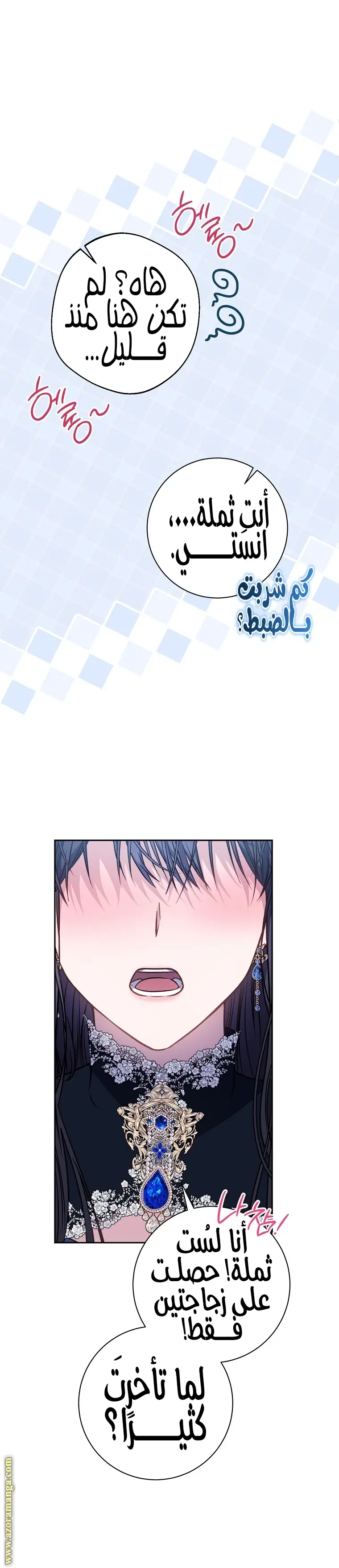 الصفحة 27