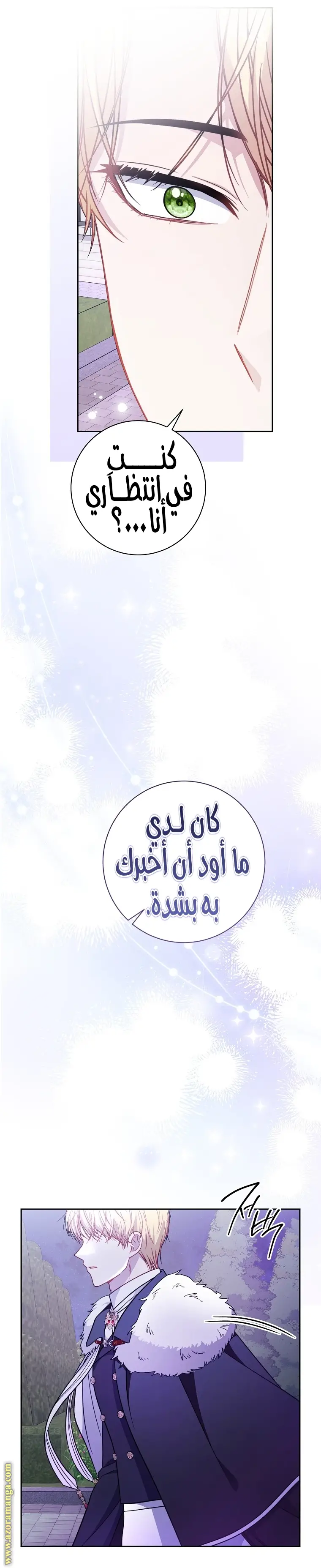 الصفحة 29