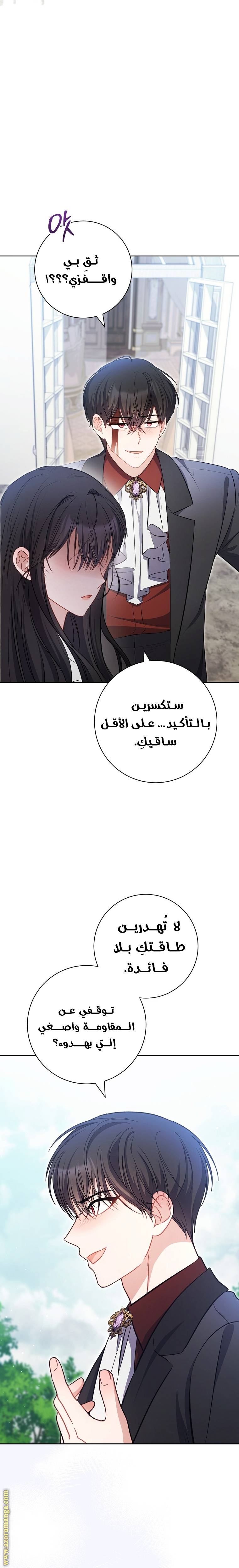 الصفحة 26