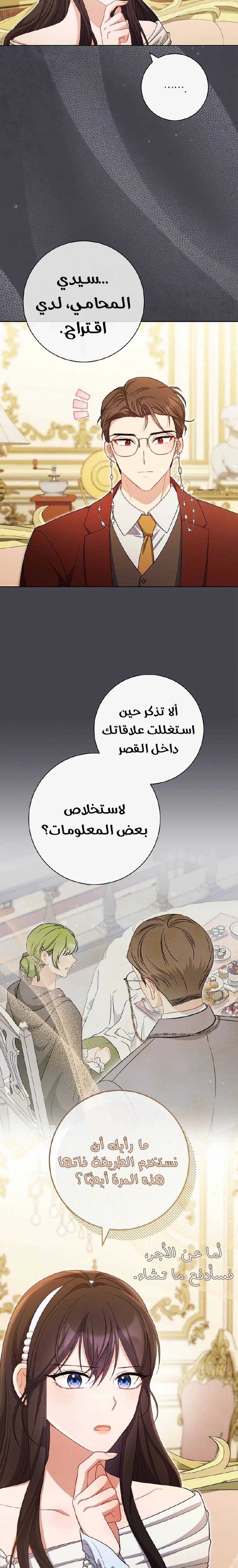 الصفحة 13