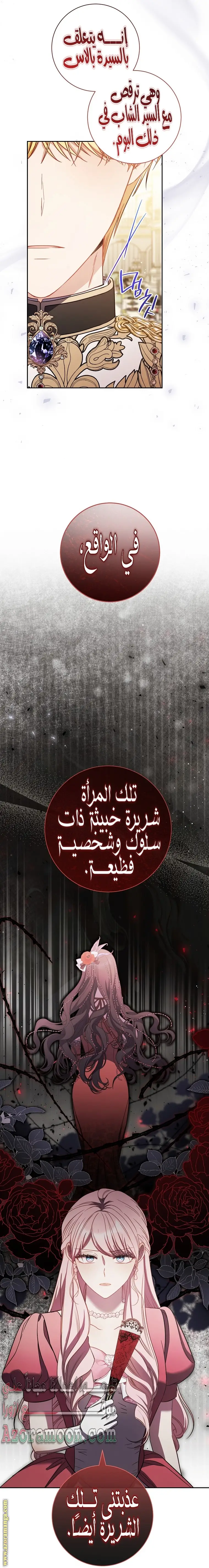الصفحة 26