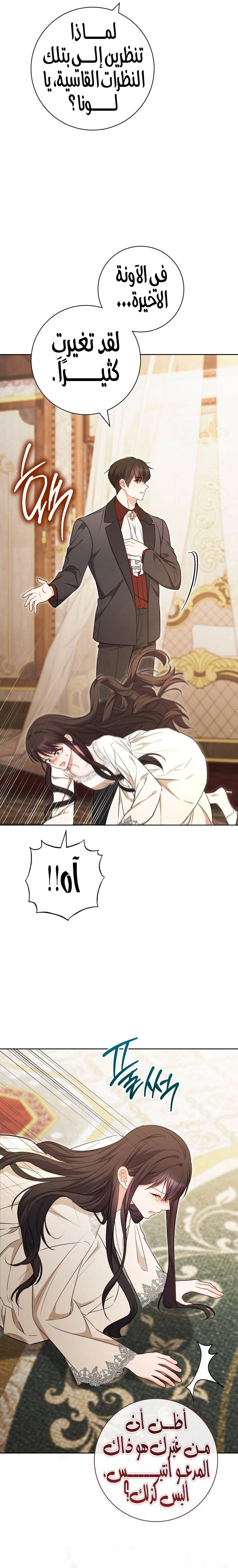 الصفحة 17