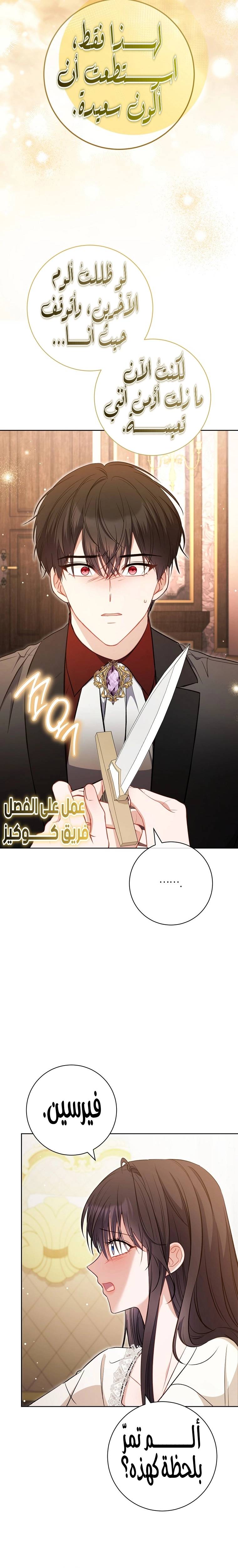 الصفحة 26