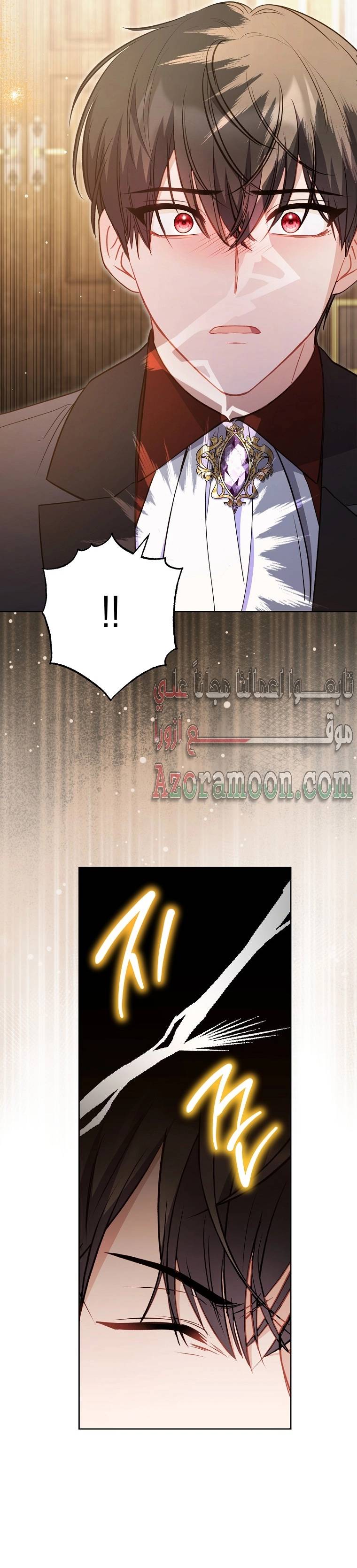 الصفحة 29