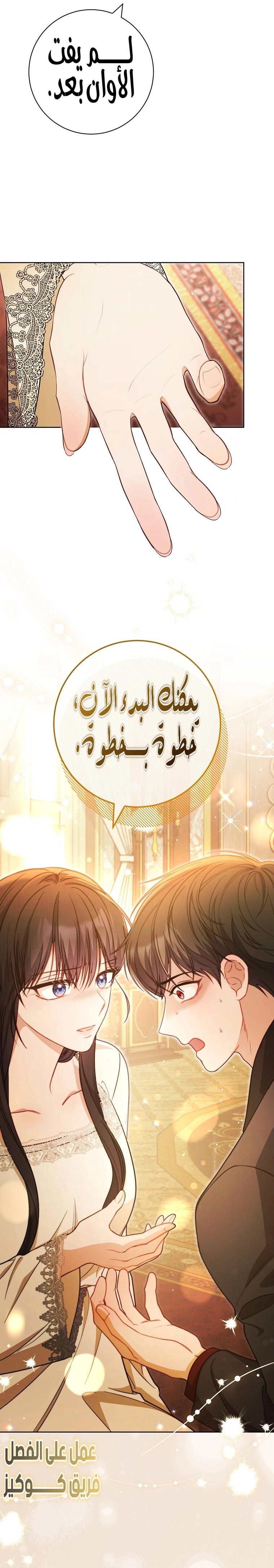الصفحة 31