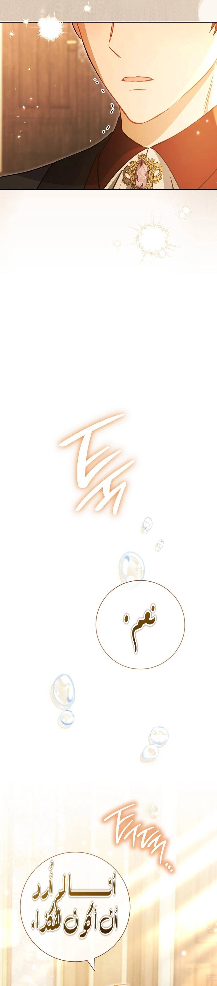 الصفحة 33