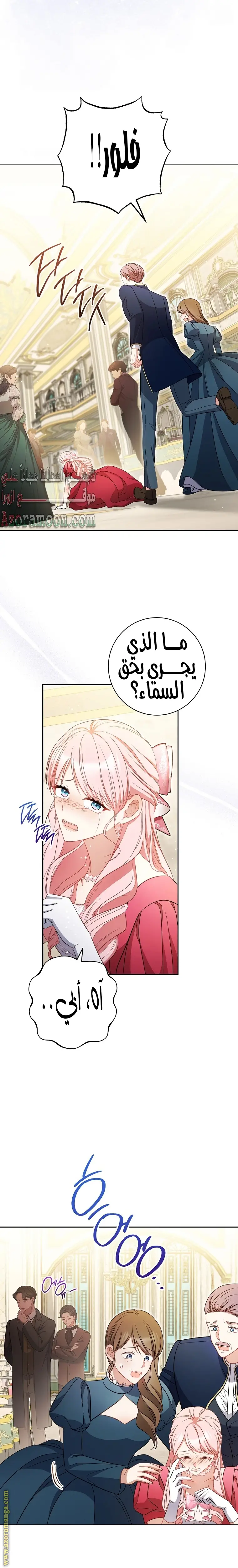 الصفحة 25
