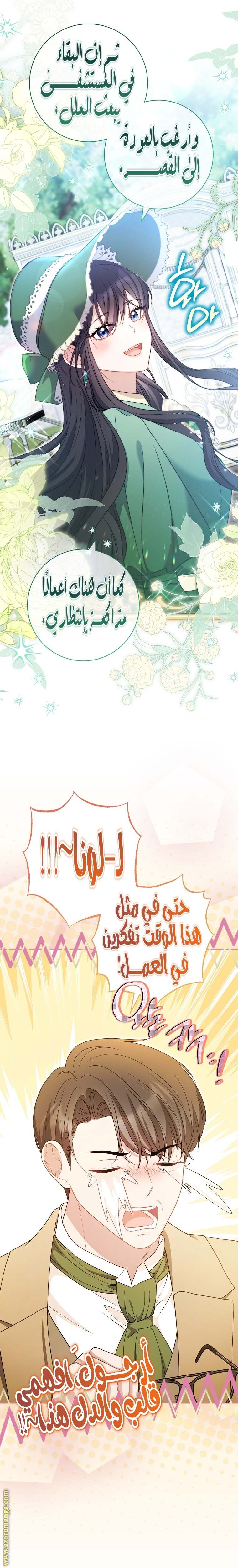 الصفحة 21
