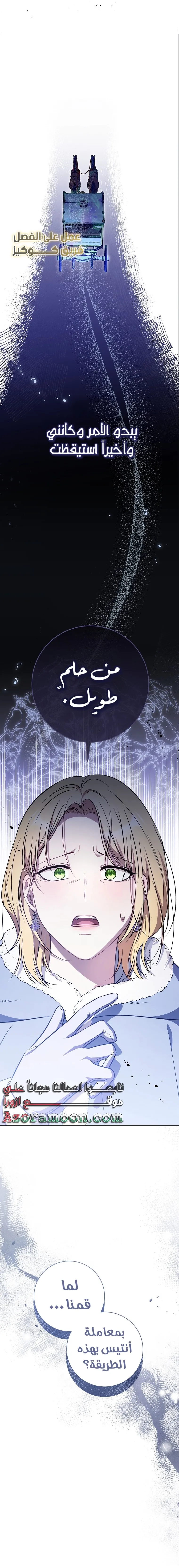 الصفحة 31