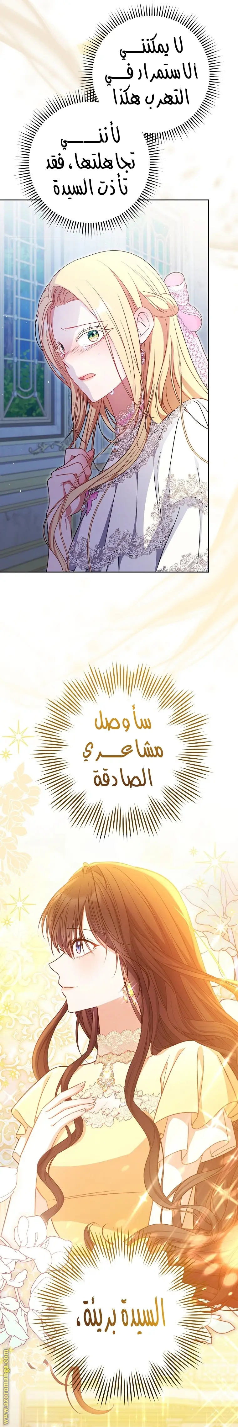 الصفحة 17
