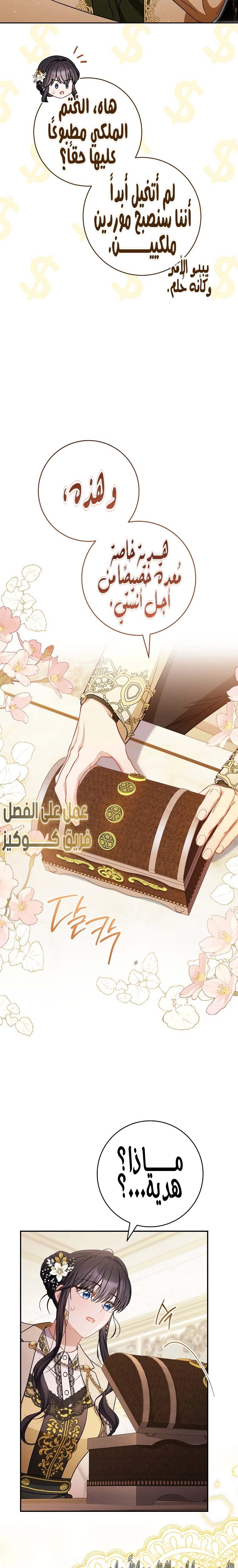 الصفحة 17