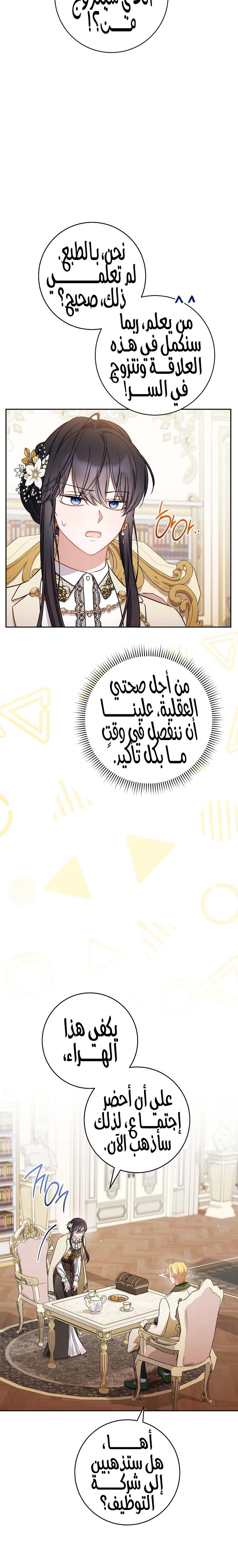 الصفحة 20