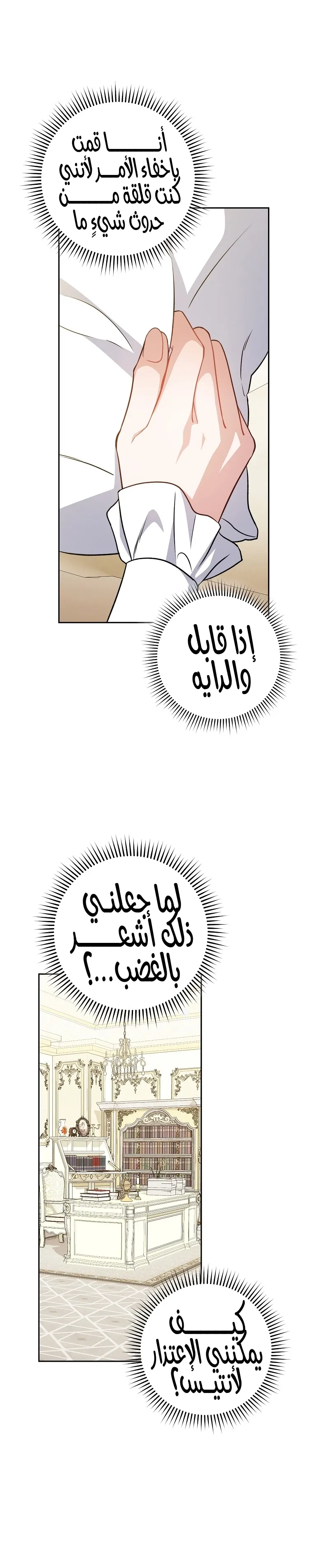 الصفحة 25