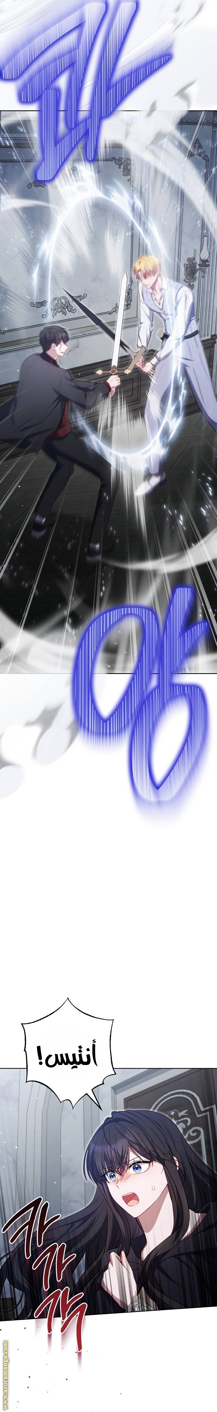 الصفحة 17