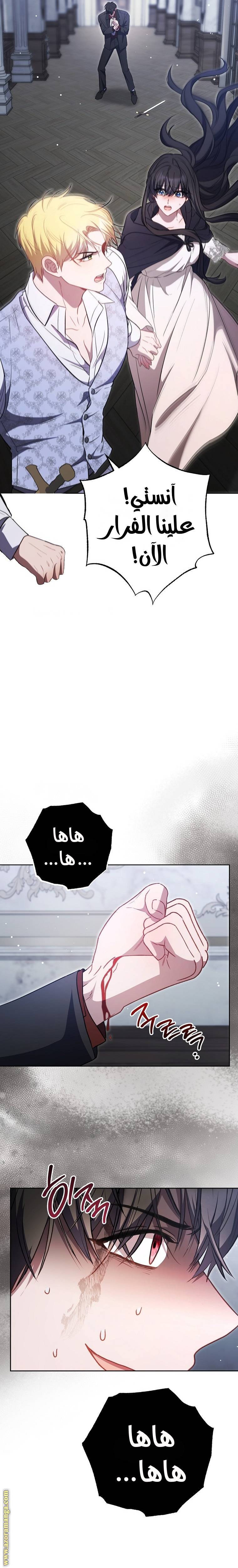 الصفحة 26