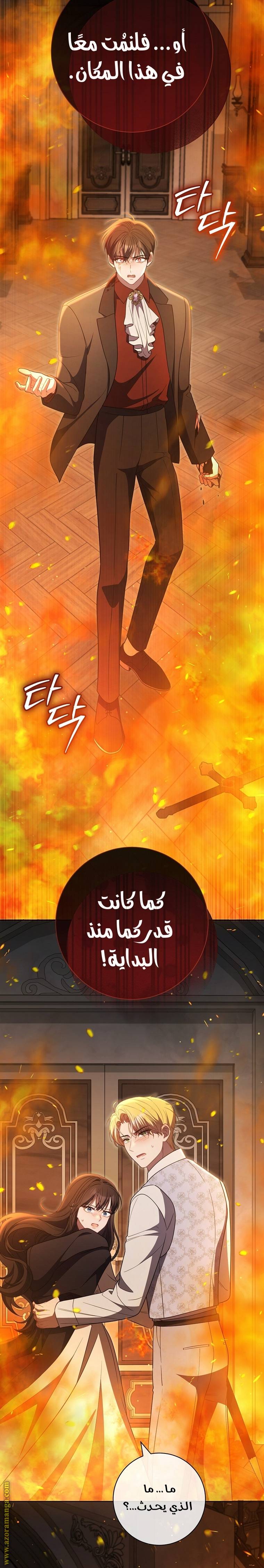 الصفحة 29