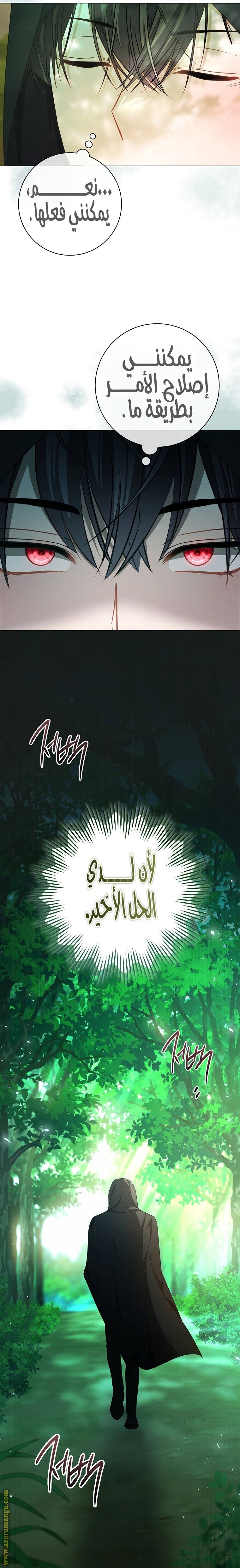 الصفحة 24