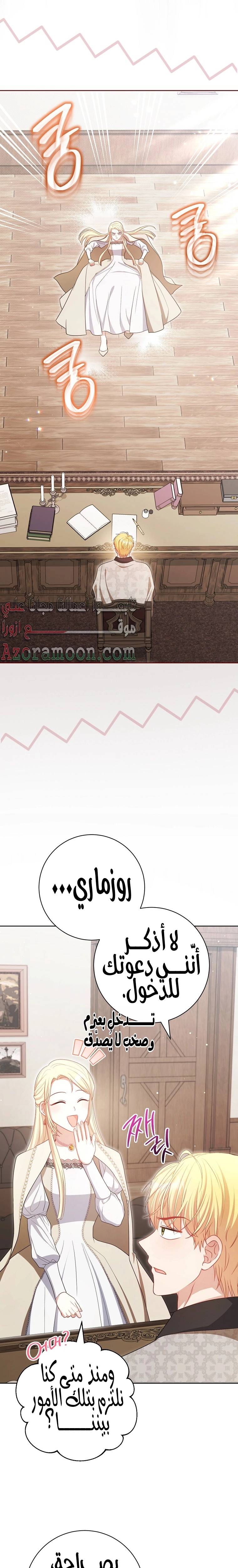 الصفحة 13