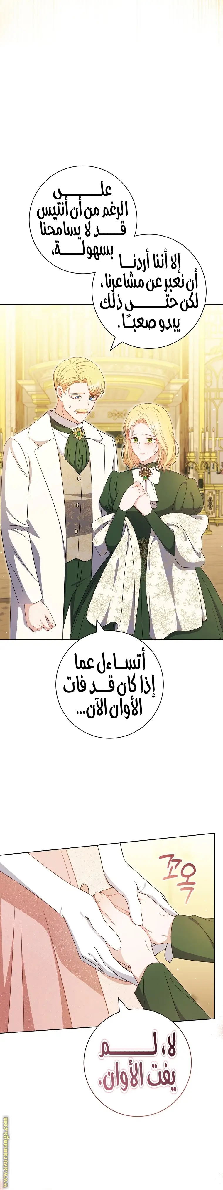 الصفحة 27