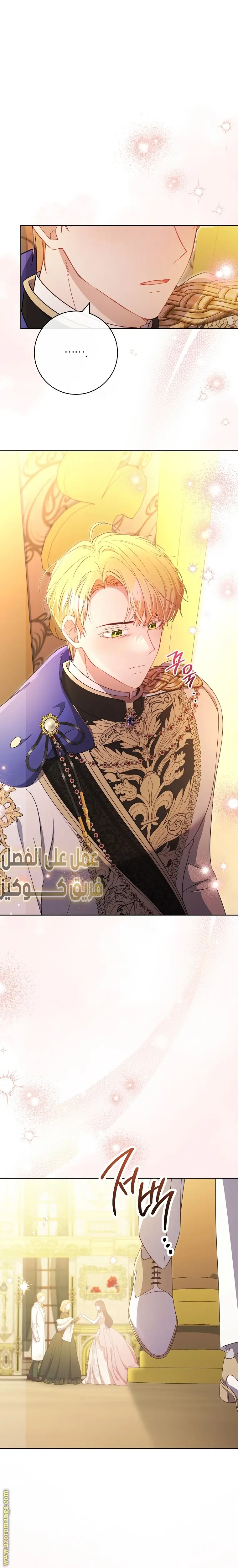 الصفحة 29
