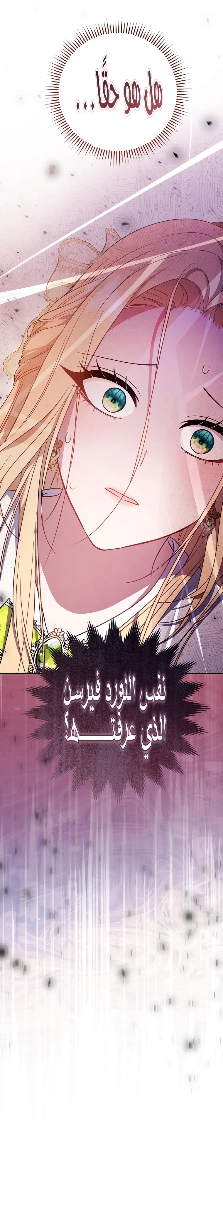 الصفحة 29