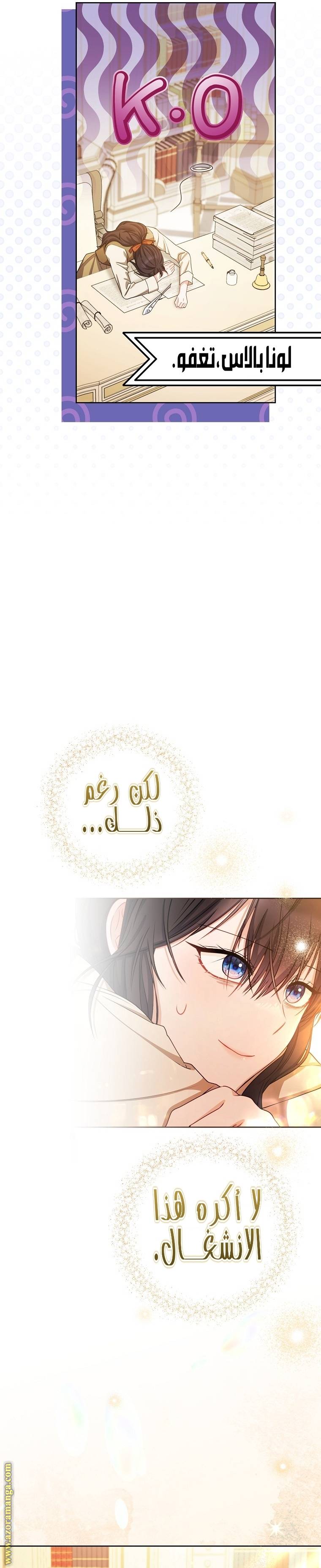 الصفحة 13