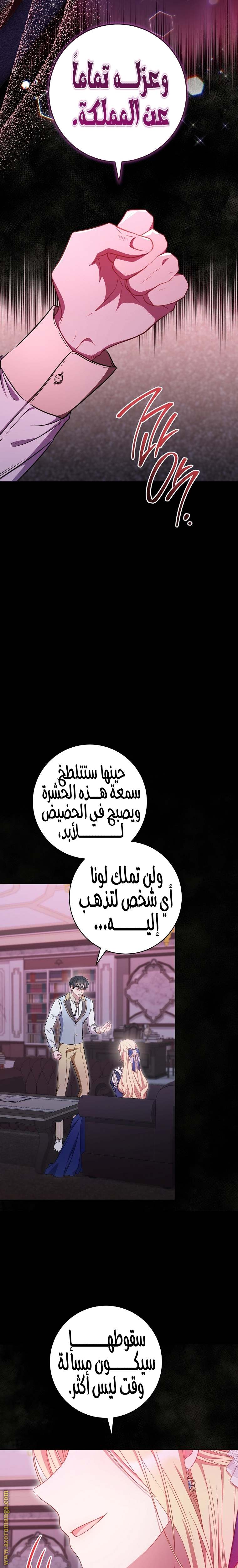 الصفحة 25