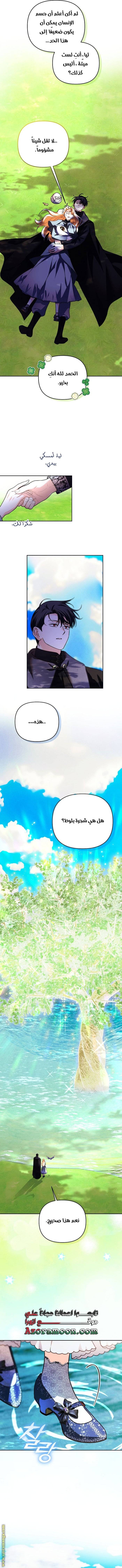 الصفحة 11
