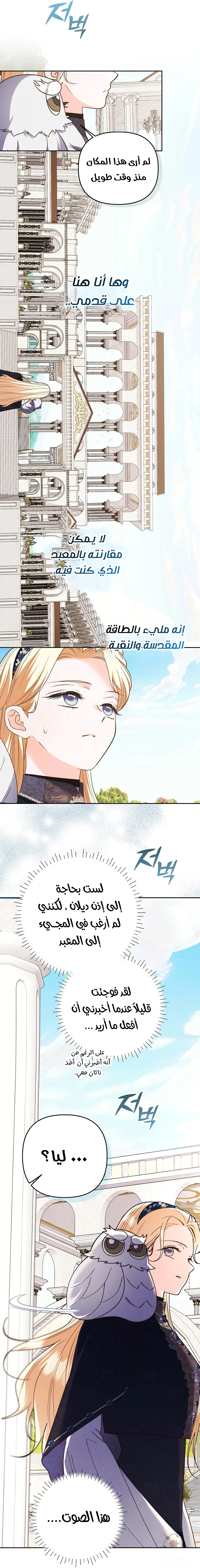 الصفحة 14