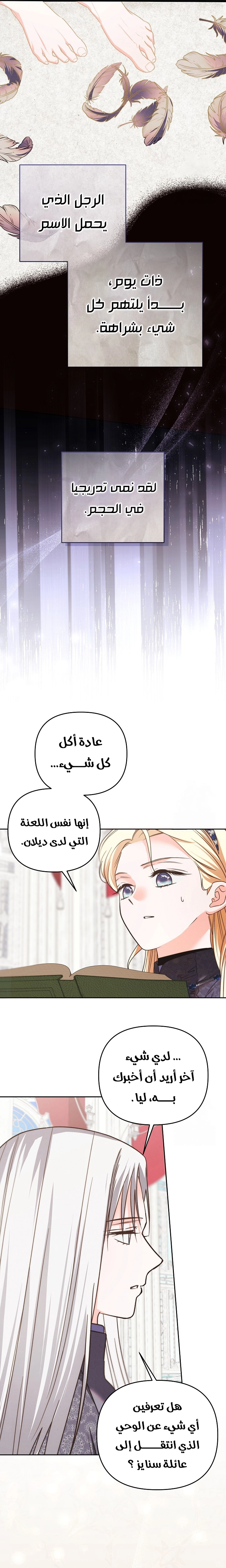 الصفحة 24