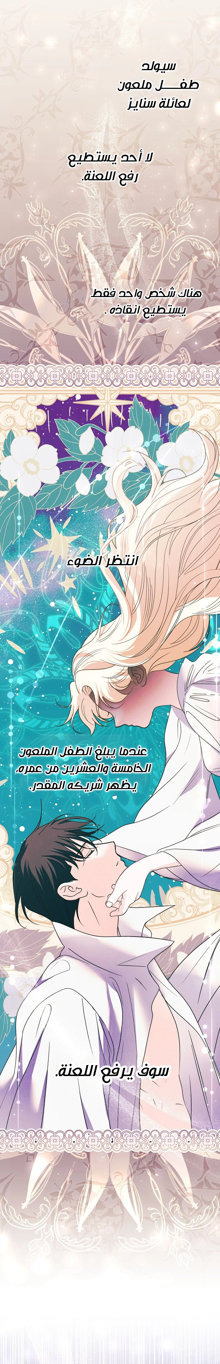 الصفحة 25