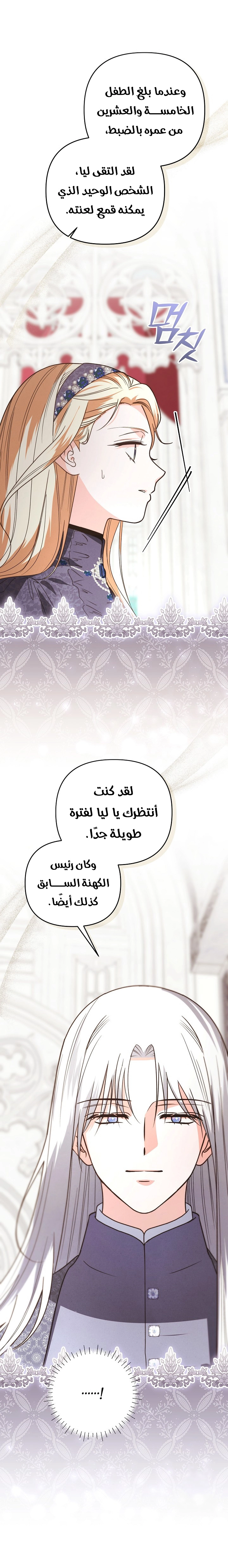 الصفحة 27