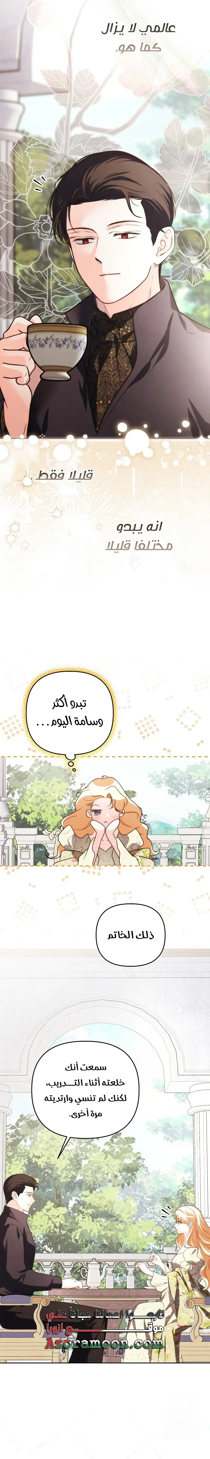 الصفحة 17