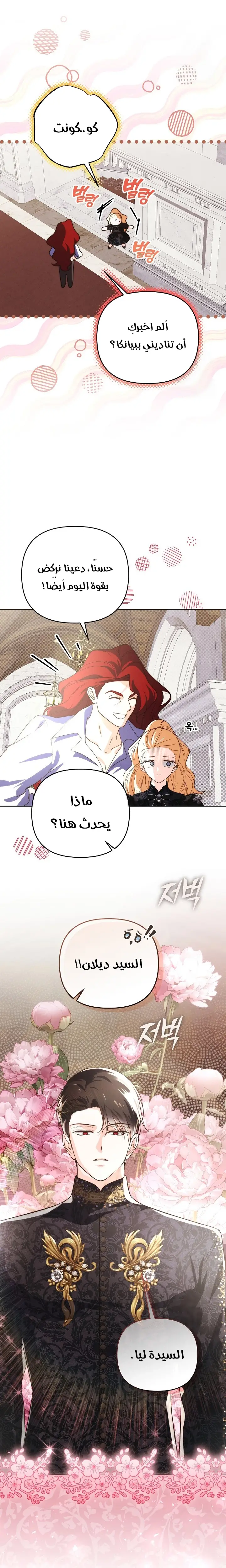 الصفحة 26