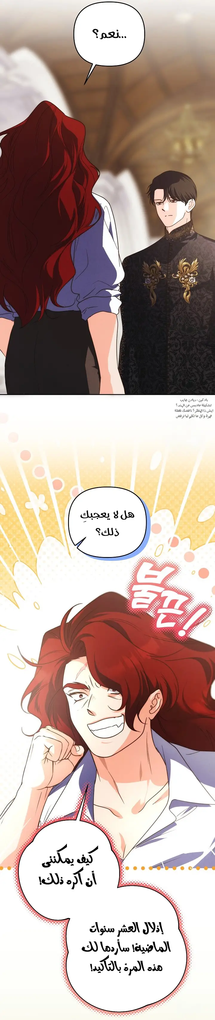 الصفحة 29