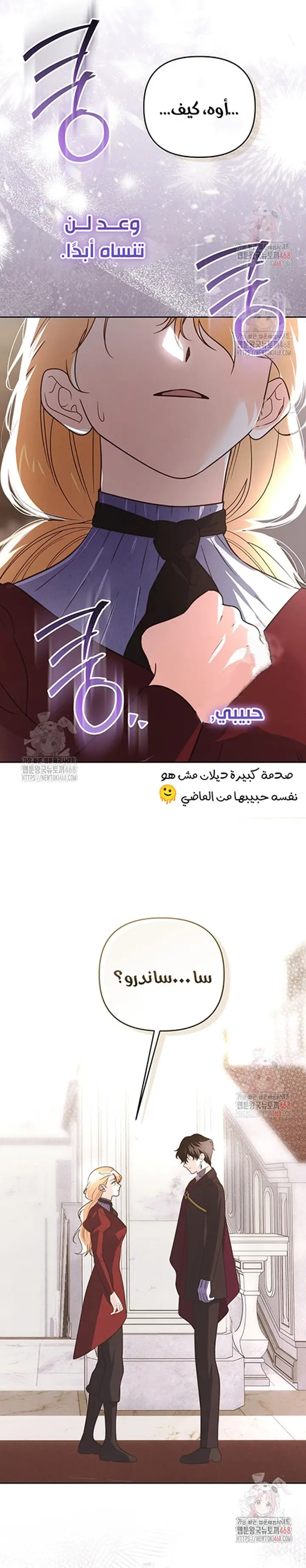 الصفحة 13
