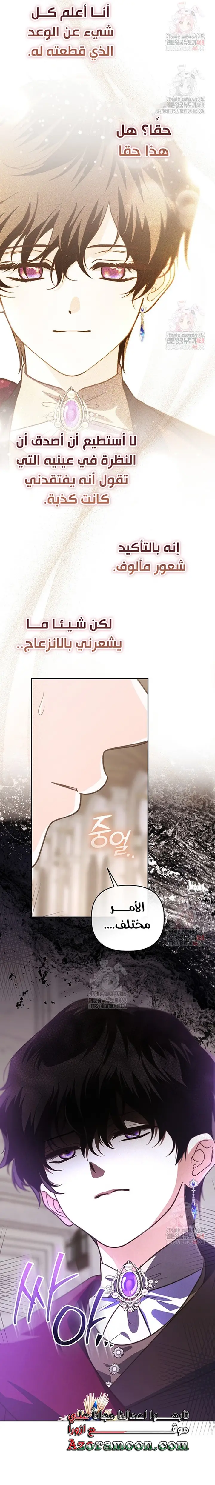 الصفحة 17