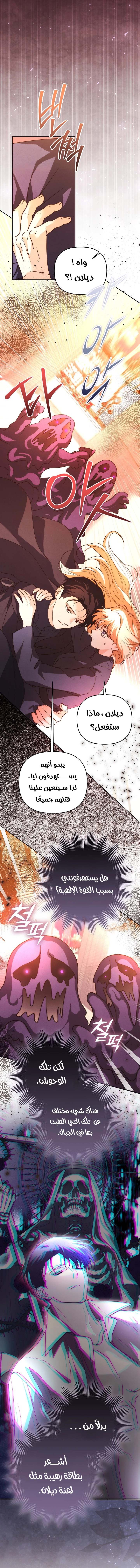 الصفحة 17