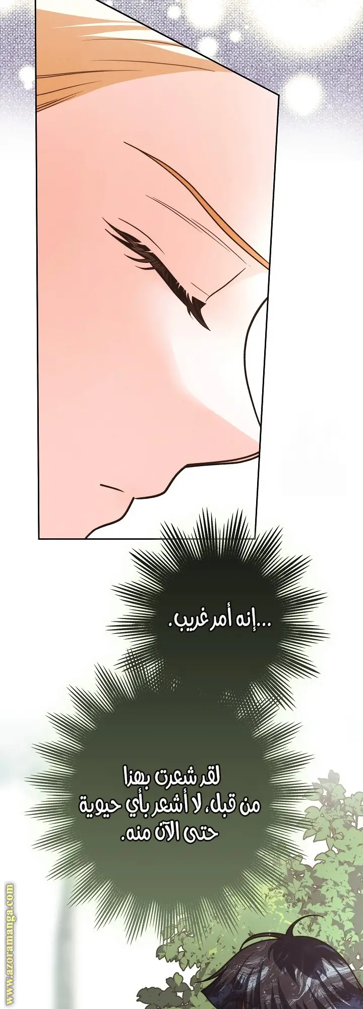 الصفحة 25