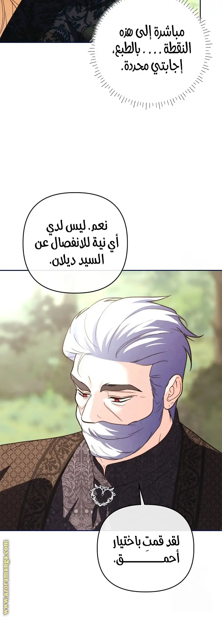 الصفحة 31